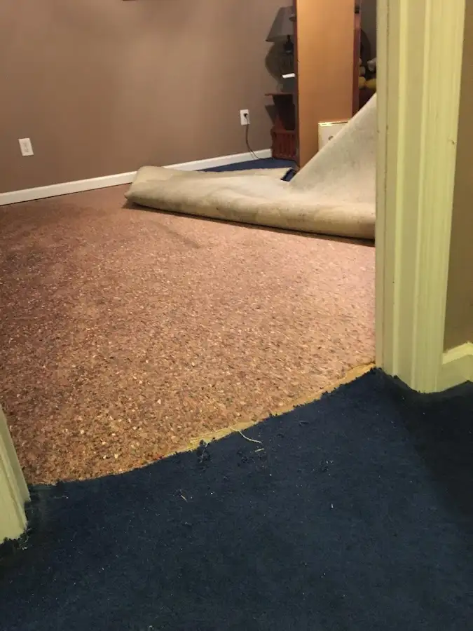 Carpet pad removal revealing water damage during Drying & Dehumidification in White Oak