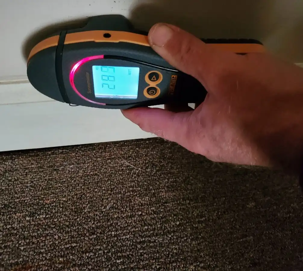 Moisture detection at baseboard during Burst Pipe Cleanup in White Oak